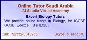 IB Hl-SL Tutor Saudi Arabia