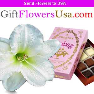 Show your intense love towards your mother with attractive gifts and quint